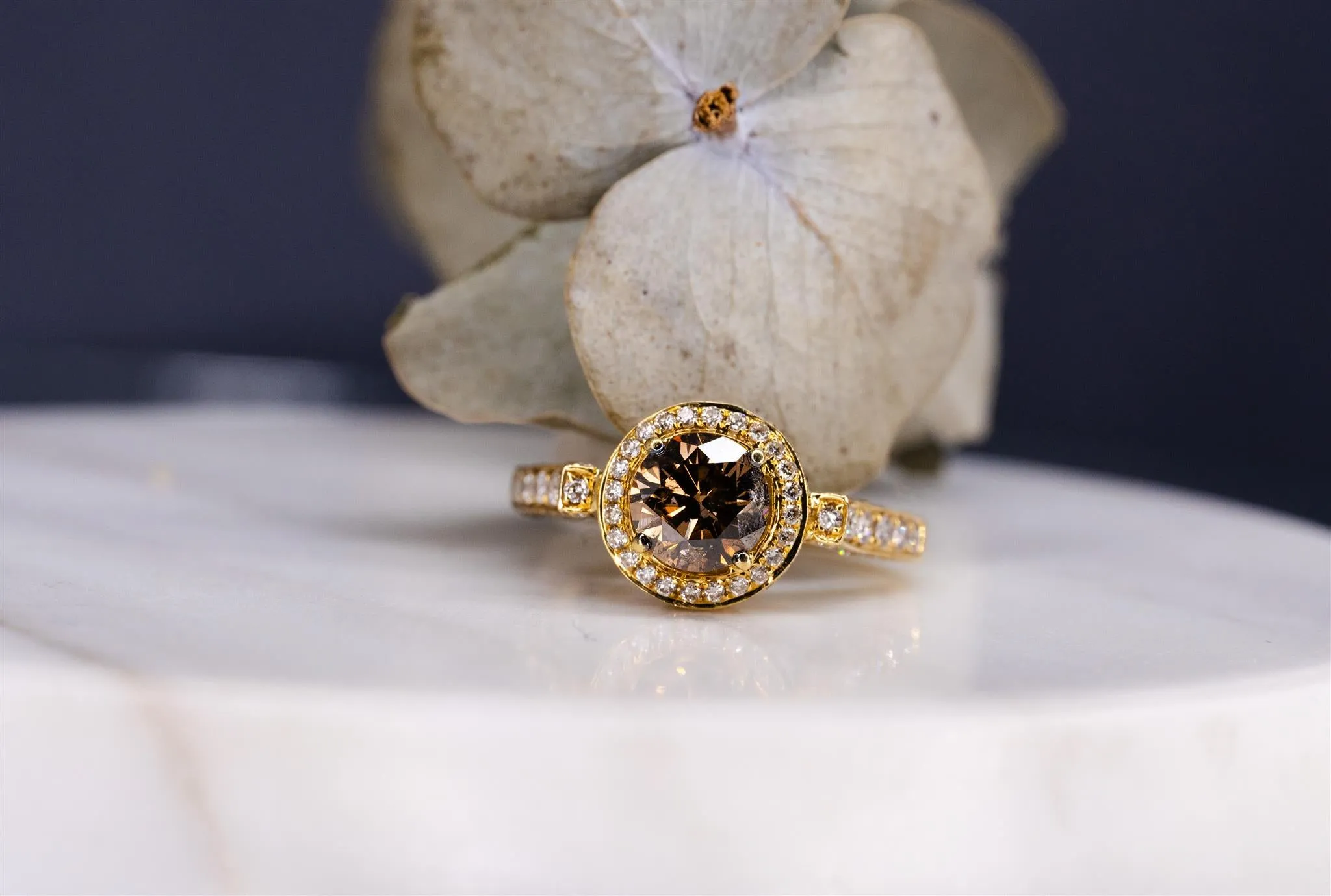 18K YG and Chocolate Diamond Cathedral Ring