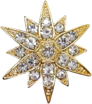 Snowflake Brooches Crystals Snowflakes Brooch for Winter Vintage Star Brooch for Women Men Birthday Gift(Stlye H)